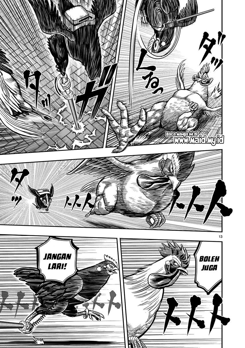 rooster-fighter - Chapter: 7