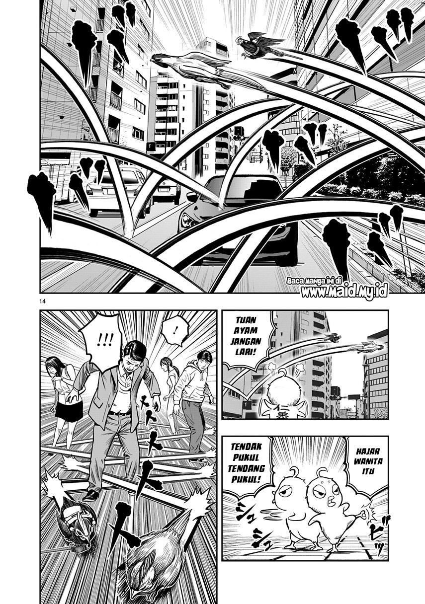 rooster-fighter - Chapter: 7