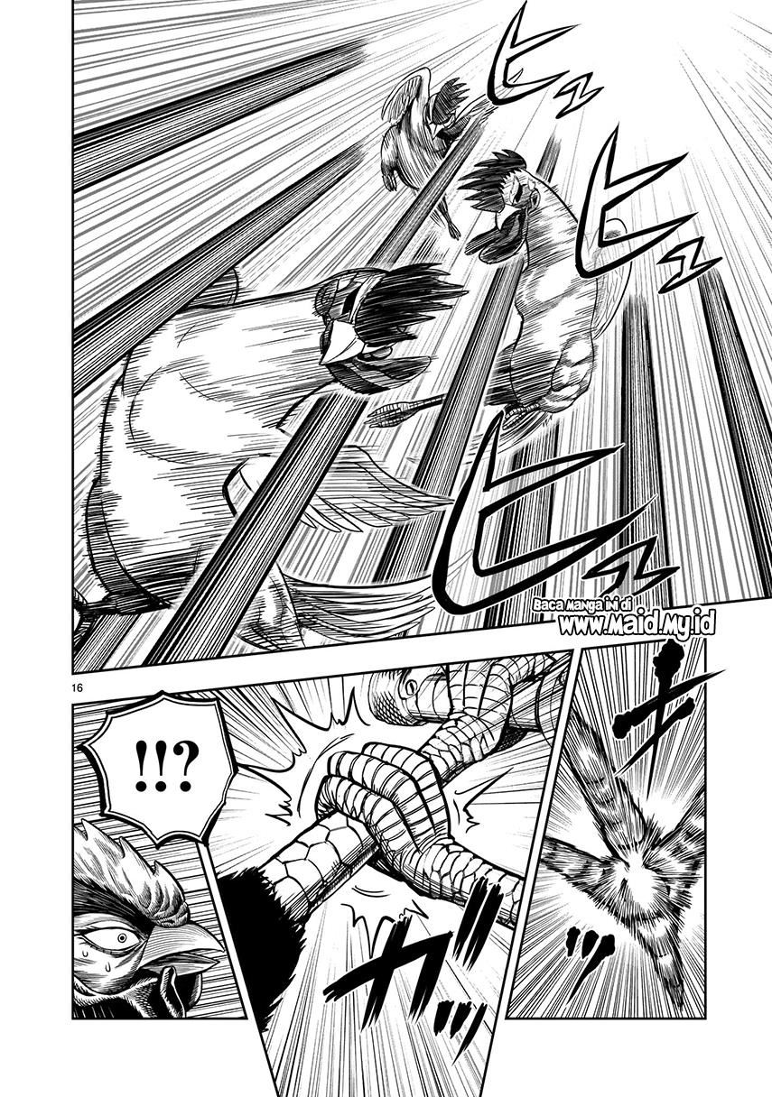 rooster-fighter - Chapter: 7