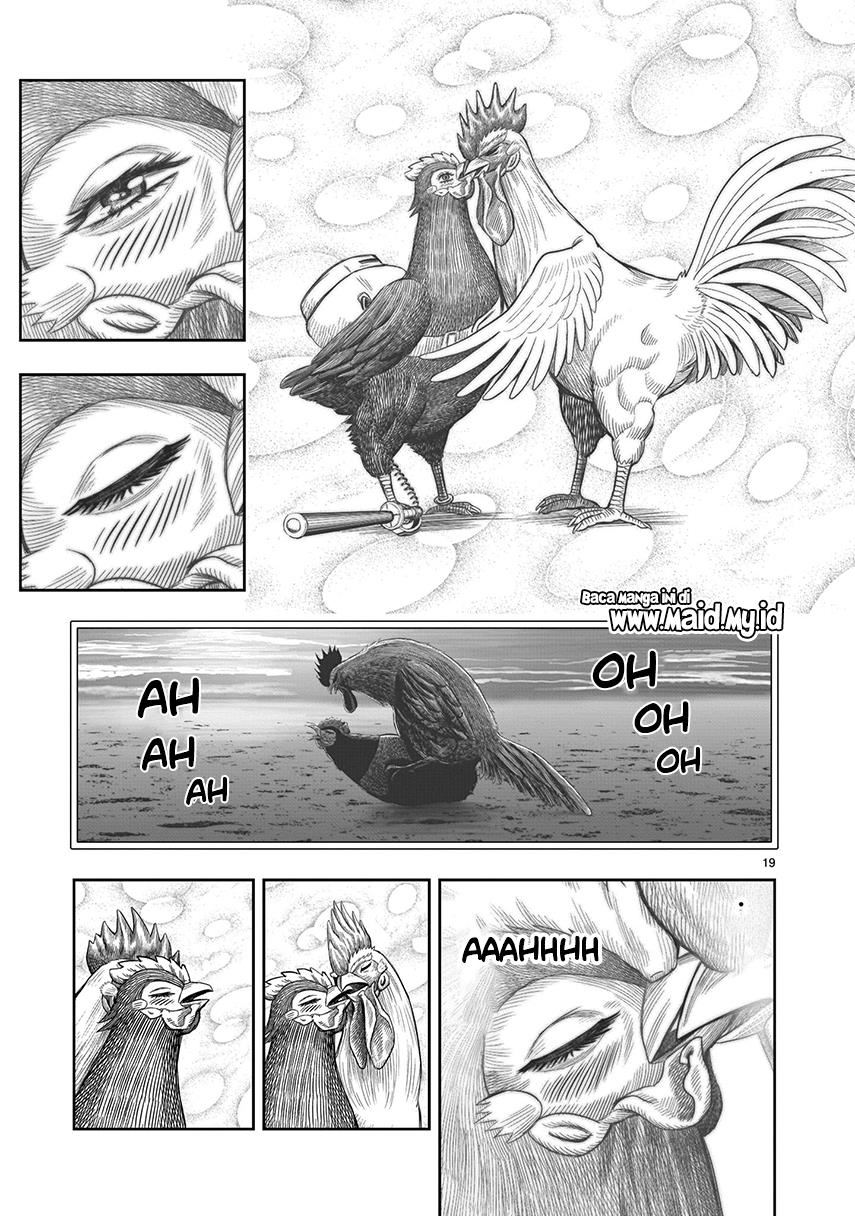 rooster-fighter - Chapter: 7