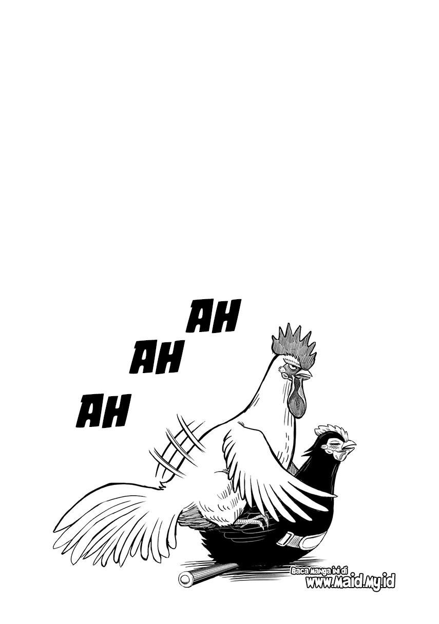 rooster-fighter - Chapter: 7