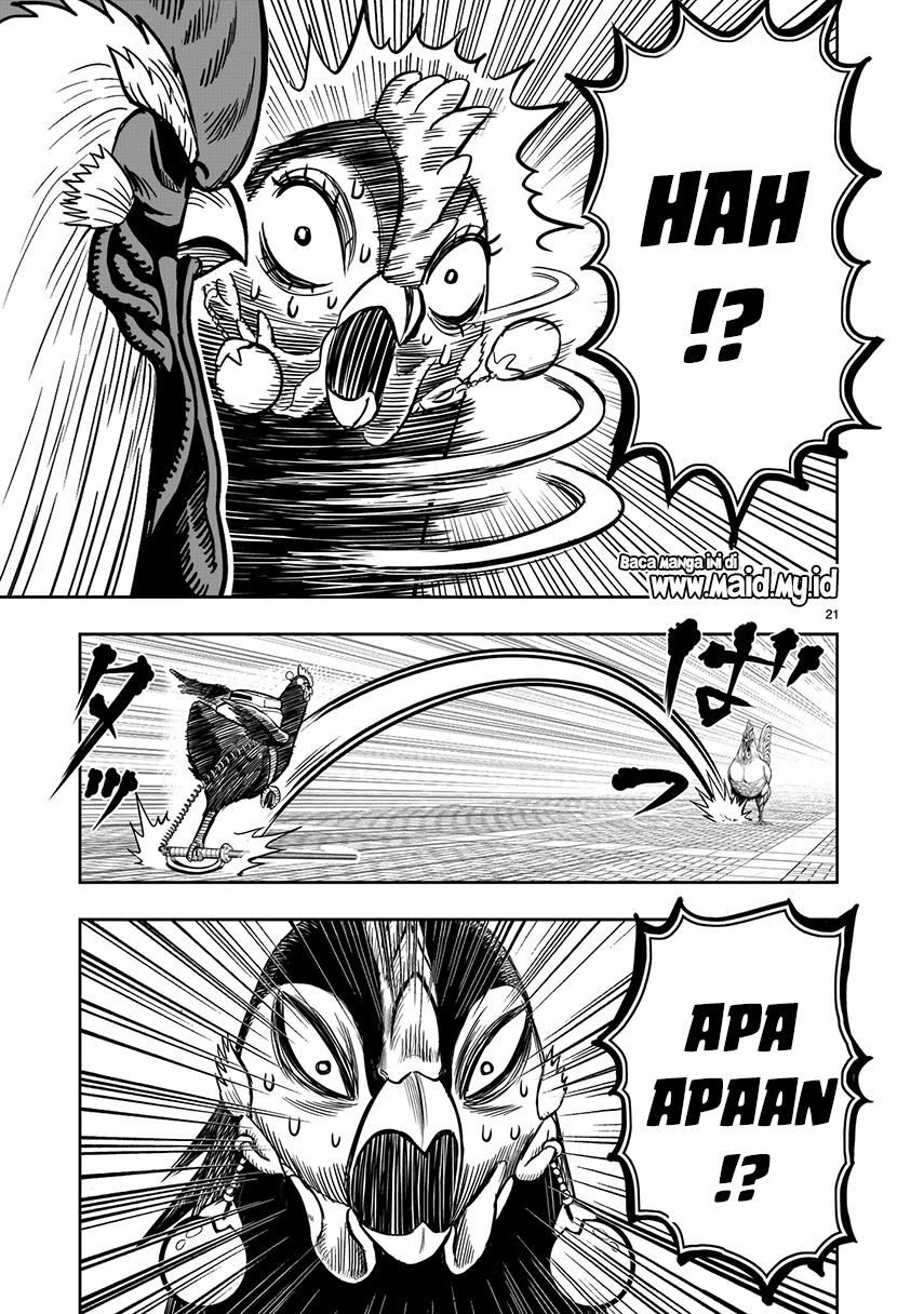 rooster-fighter - Chapter: 7