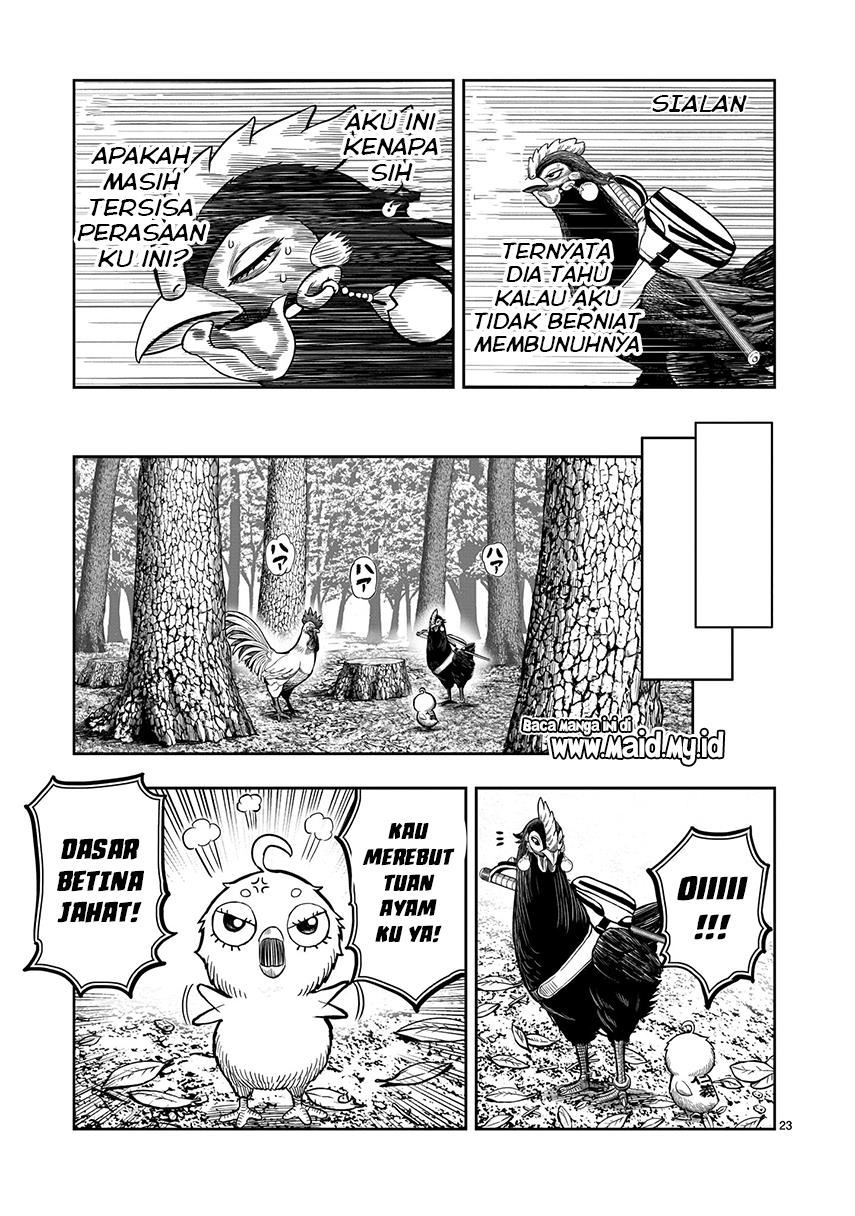 rooster-fighter - Chapter: 7
