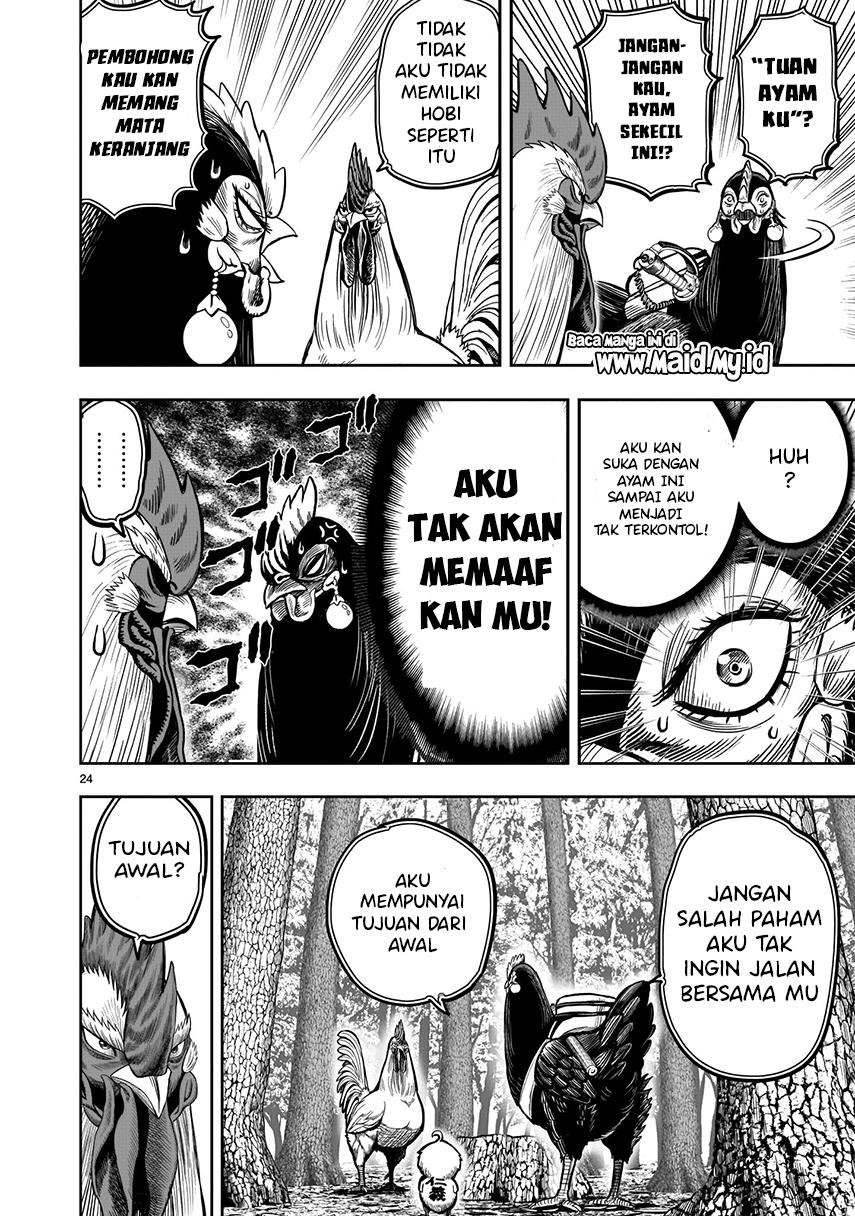 rooster-fighter - Chapter: 7