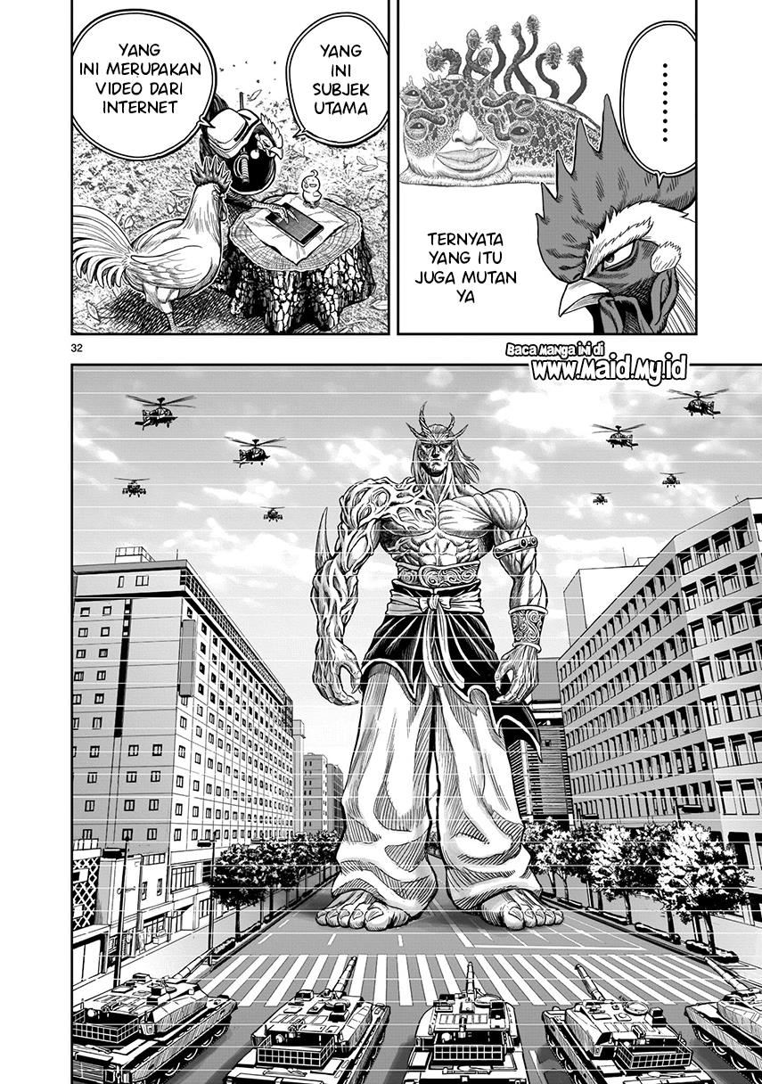 rooster-fighter - Chapter: 7
