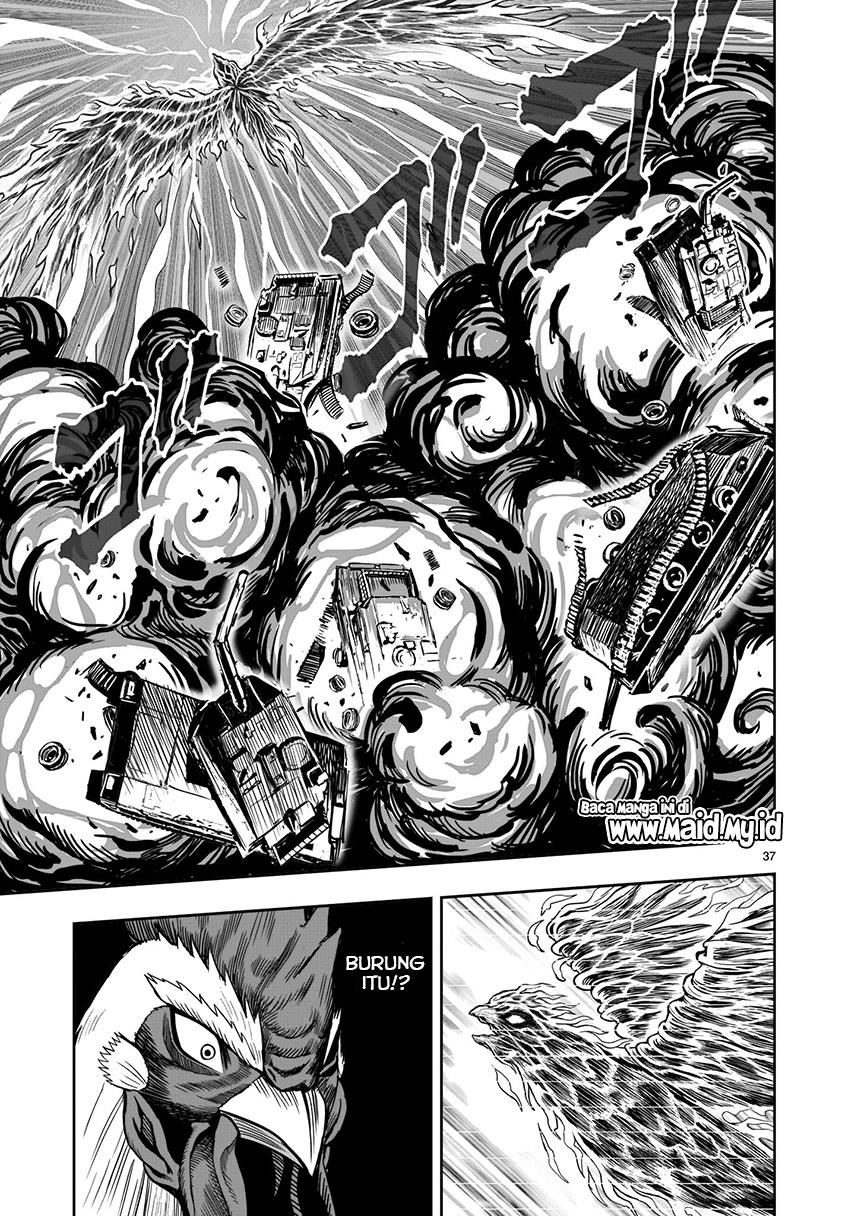 rooster-fighter - Chapter: 7