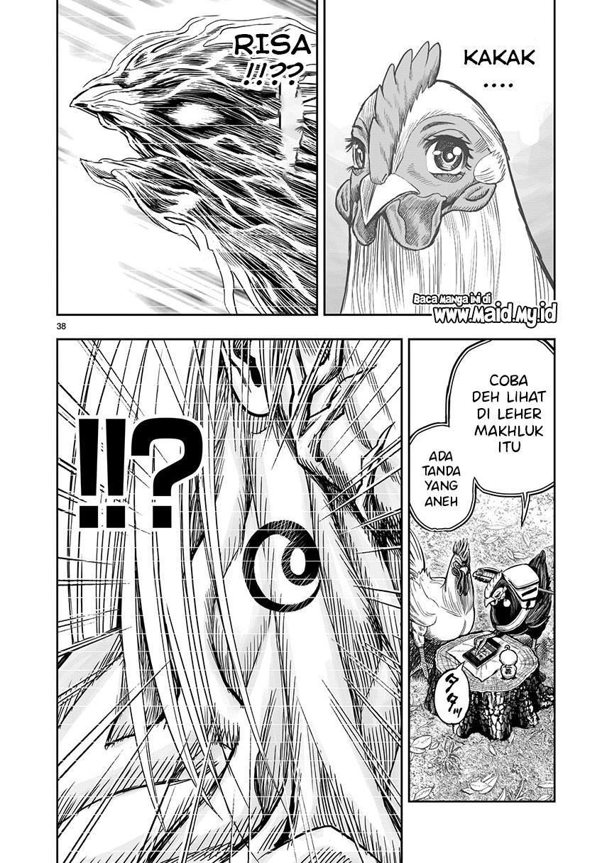 rooster-fighter - Chapter: 7