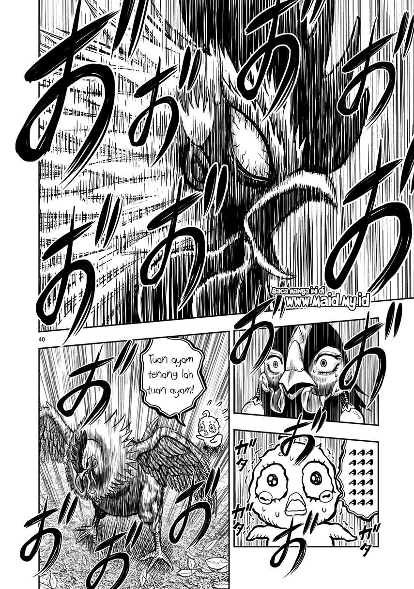 rooster-fighter - Chapter: 7