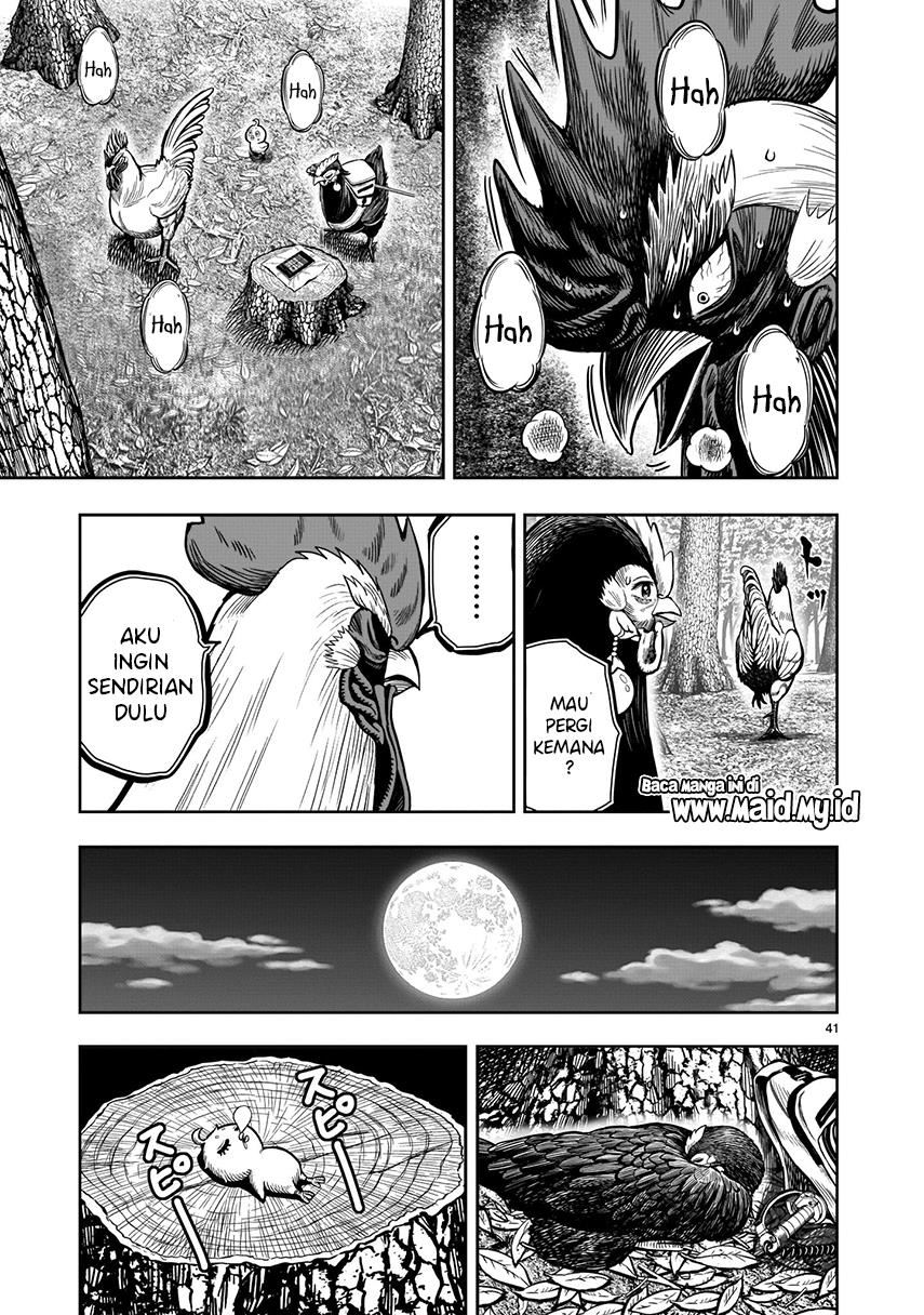 rooster-fighter - Chapter: 7