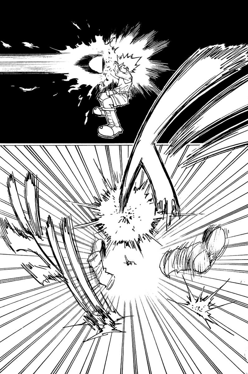 hunter-x-hunter - Chapter: 163