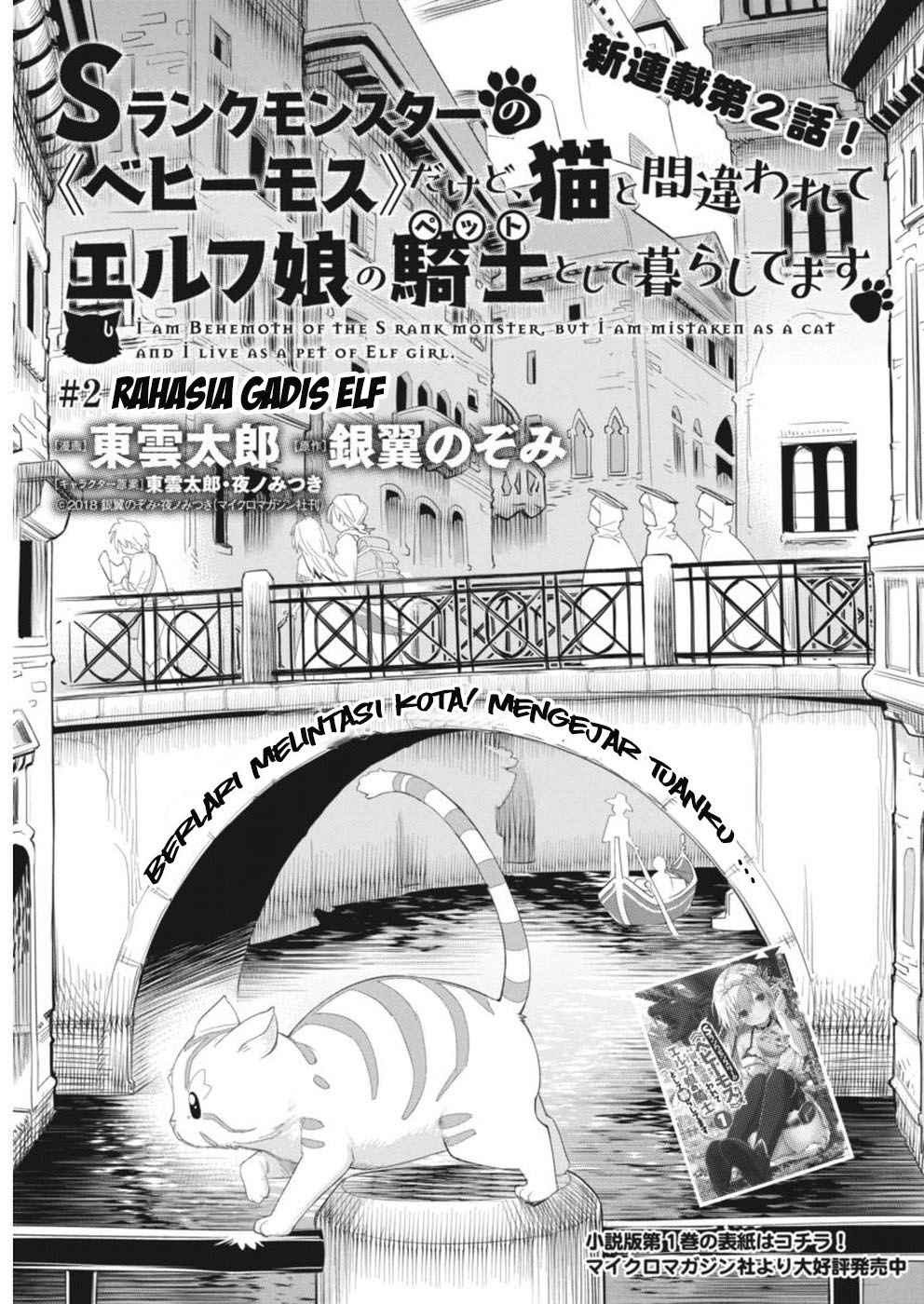 s-rank-monster-no-behemoth-dakedo-neko-to-machigawarete-erufu-musume-no-kishi-pet-toshite-kurashitemasu - Chapter: 2