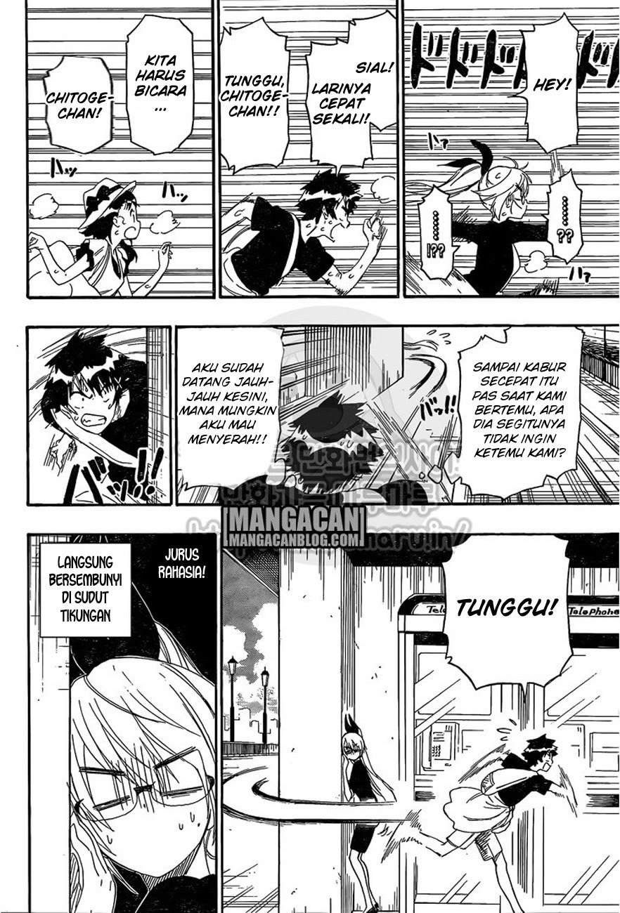 nisekoi - Chapter: 215