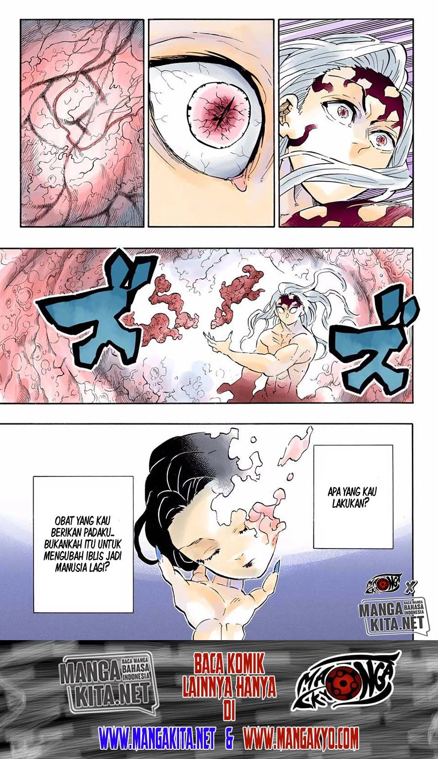 kimetsu-no-yaiba - Chapter: 193.5