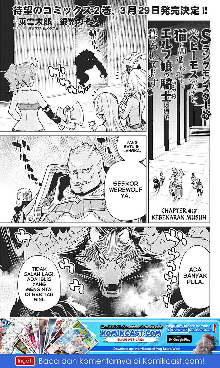 s-rank-monster-no-behemoth-dakedo-neko-to-machigawarete-erufu-musume-no-kishi-pet-toshite-kurashitemasu - Chapter: 13