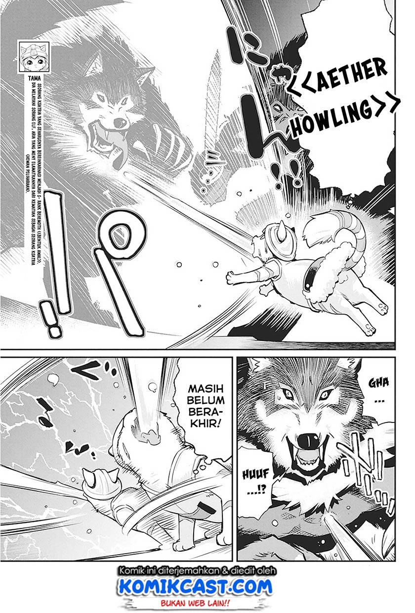 s-rank-monster-no-behemoth-dakedo-neko-to-machigawarete-erufu-musume-no-kishi-pet-toshite-kurashitemasu - Chapter: 13