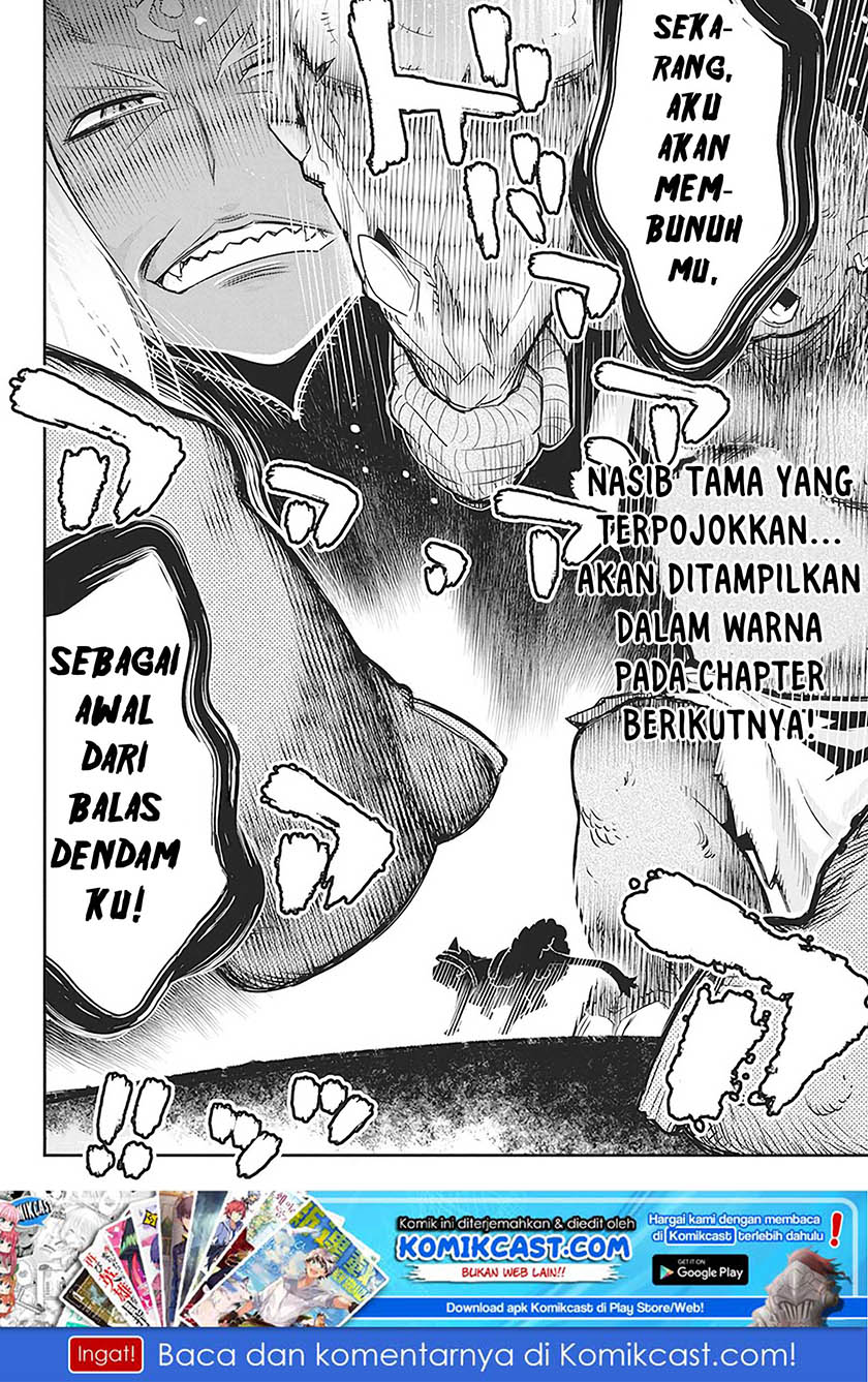 s-rank-monster-no-behemoth-dakedo-neko-to-machigawarete-erufu-musume-no-kishi-pet-toshite-kurashitemasu - Chapter: 13