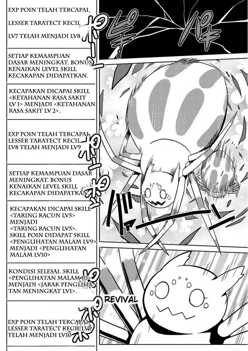 kumo-desu-ga-nani-ka - Chapter: 06.1