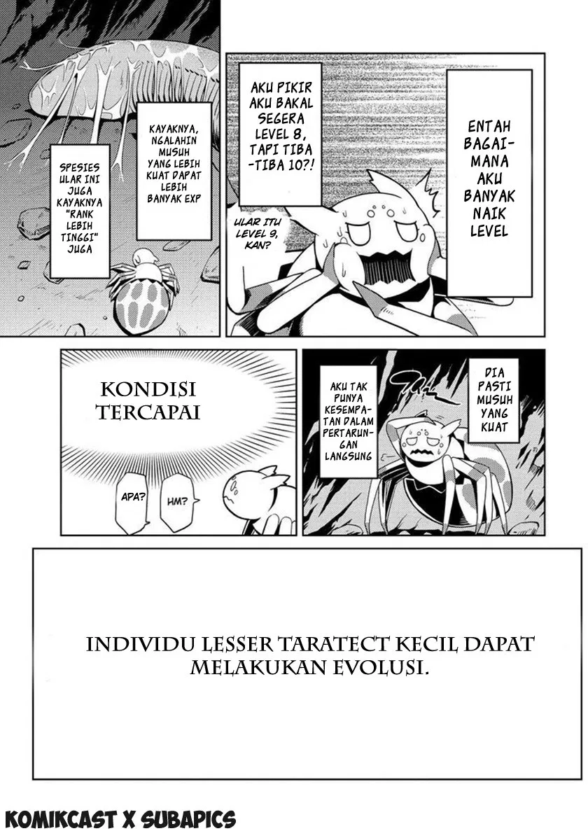 kumo-desu-ga-nani-ka - Chapter: 06.1