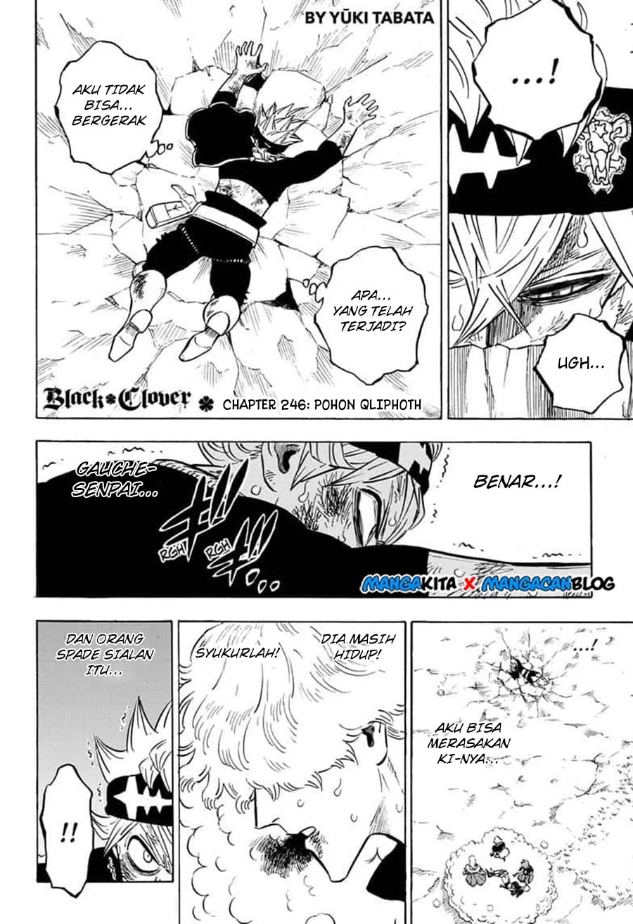 black-clover - Chapter: 246.5