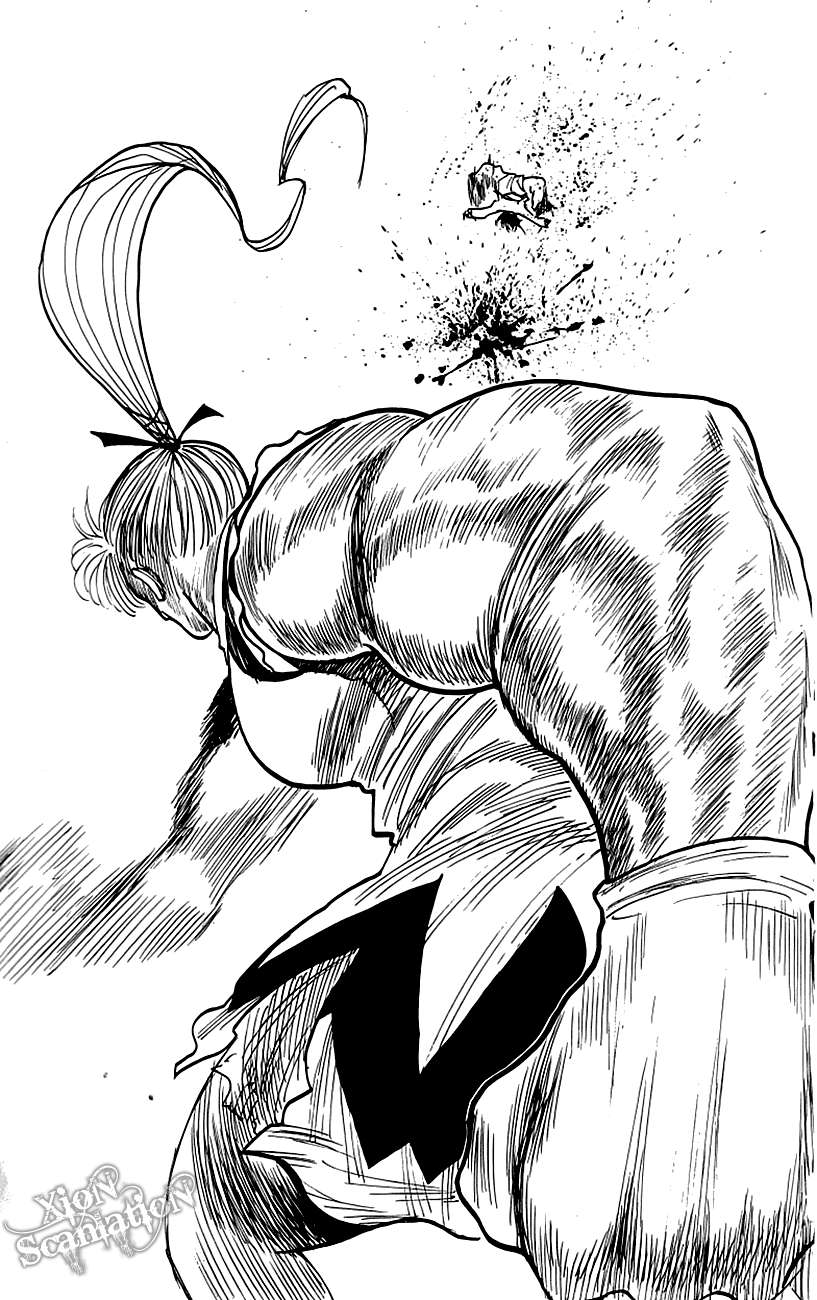 hunter-x-hunter - Chapter: 177