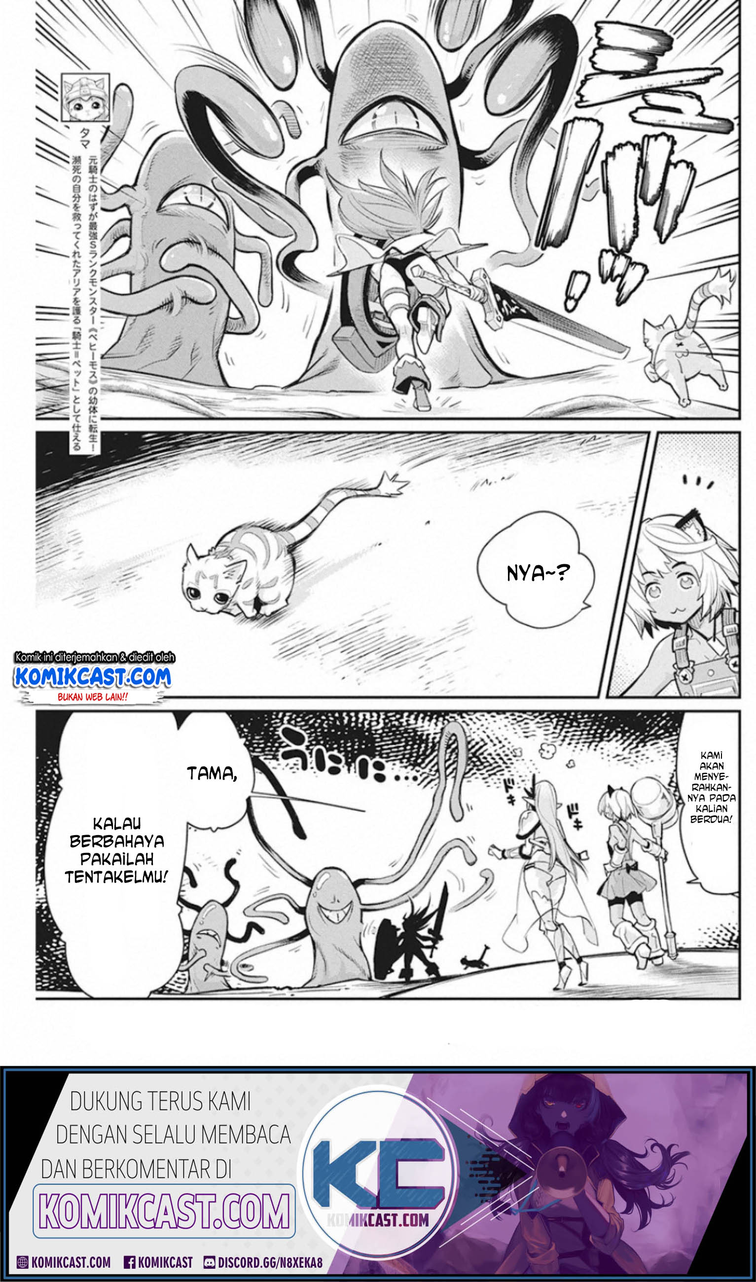 s-rank-monster-no-behemoth-dakedo-neko-to-machigawarete-erufu-musume-no-kishi-pet-toshite-kurashitemasu - Chapter: 25