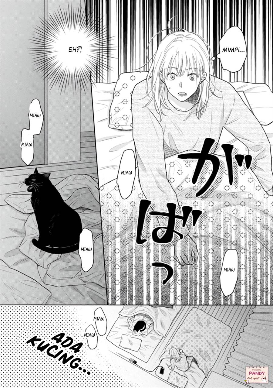 nekozuka-kun-wa-himitsu-wo-kaburu - Chapter: 1