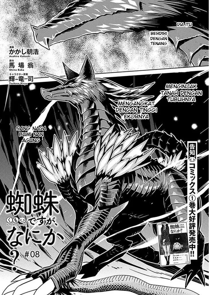 kumo-desu-ga-nani-ka - Chapter: 08