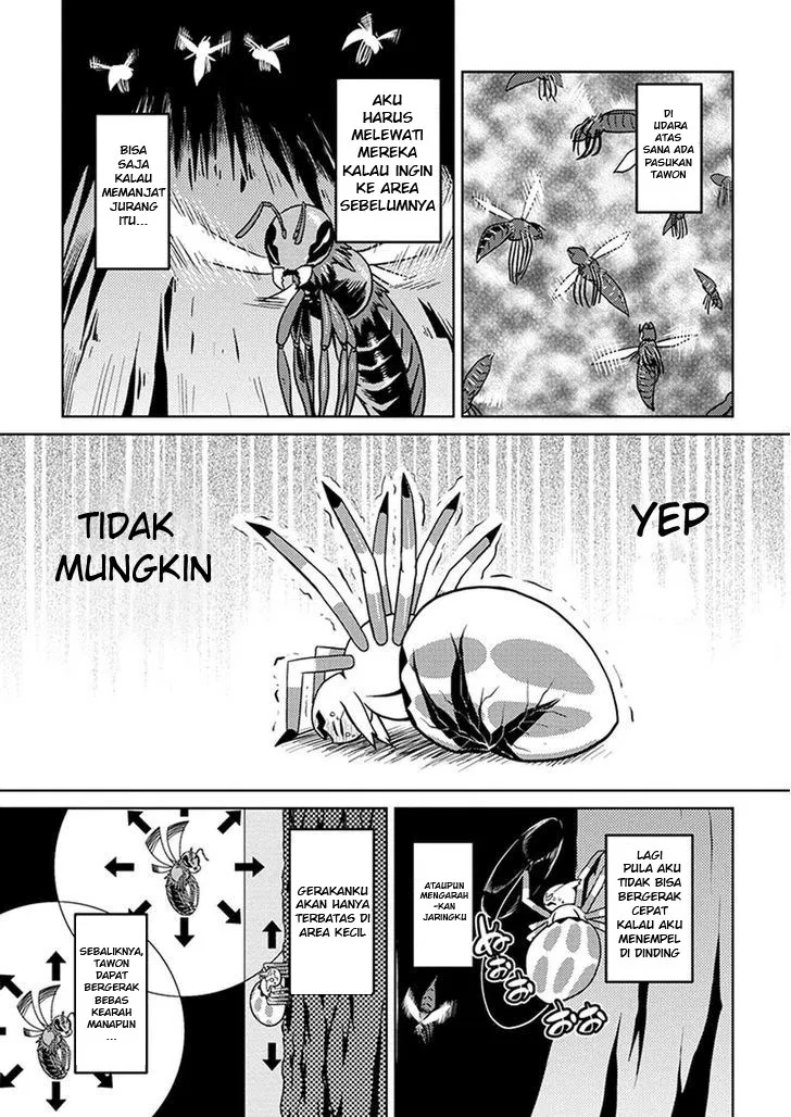 kumo-desu-ga-nani-ka - Chapter: 08