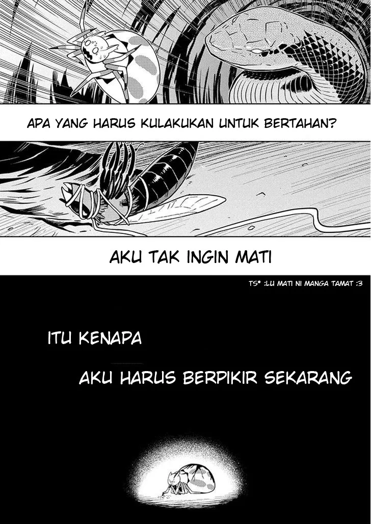 kumo-desu-ga-nani-ka - Chapter: 08