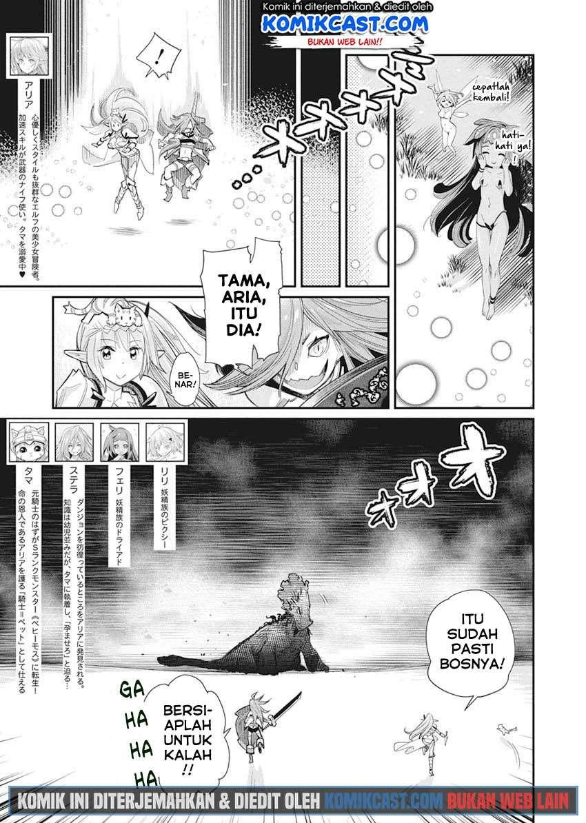 s-rank-monster-no-behemoth-dakedo-neko-to-machigawarete-erufu-musume-no-kishi-pet-toshite-kurashitemasu - Chapter: 32