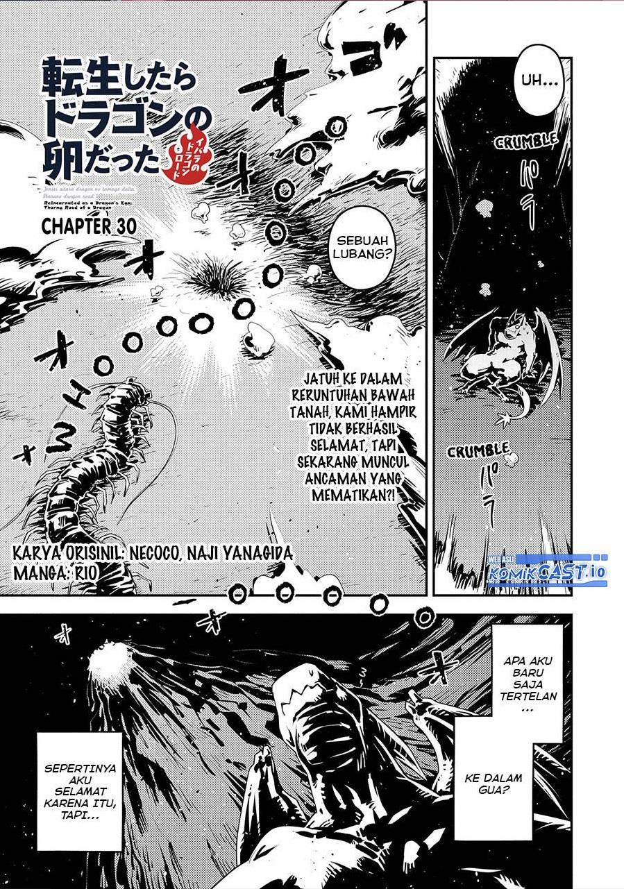 tensei-shitara-dragon-no-tamago-datta-ibara-no-dragon-road - Chapter: 30