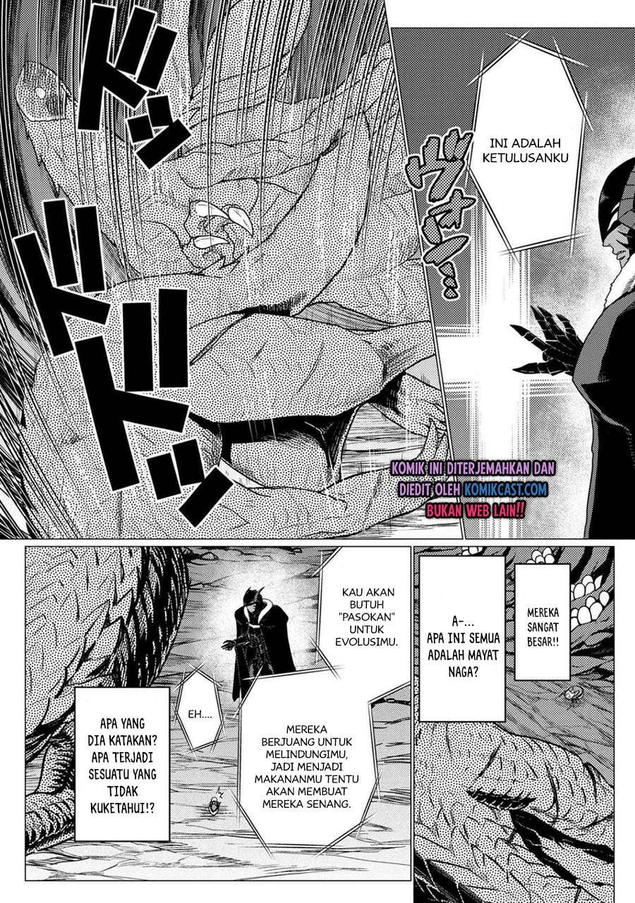 kumo-desu-ga-nani-ka - Chapter: 51.3