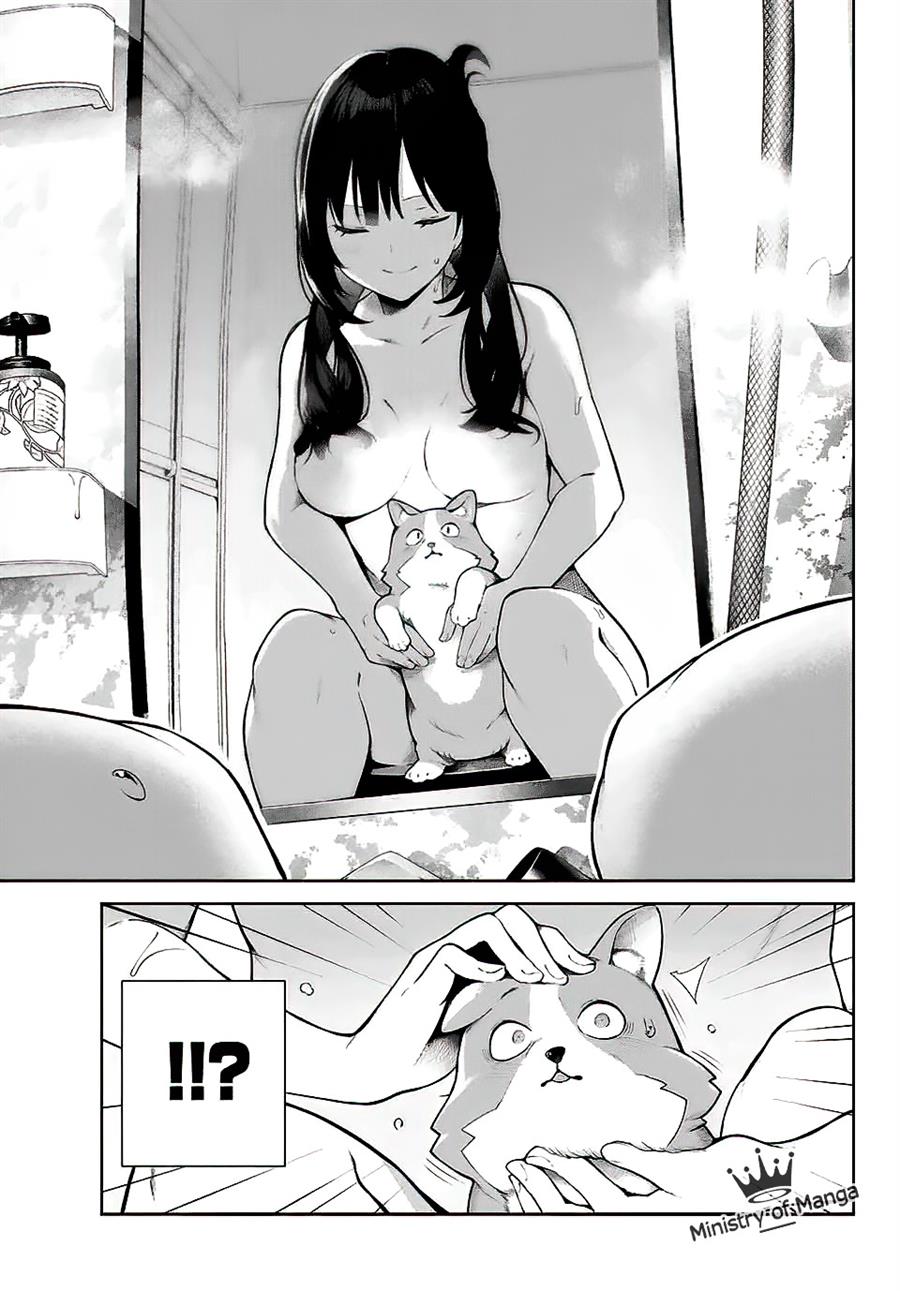 inu-ni-nattara-suki-na-hito-ni-hirowareta - Chapter: 1