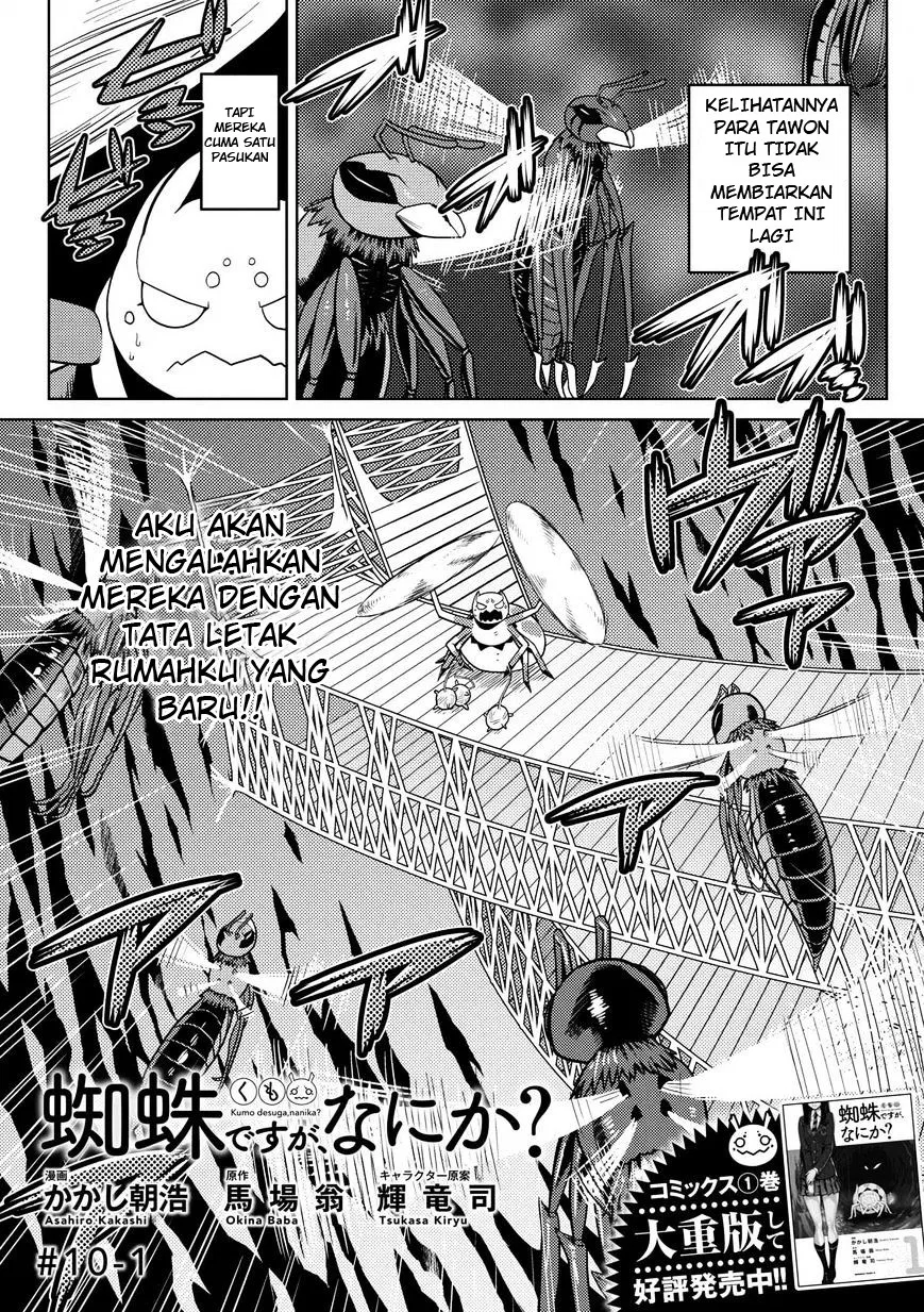 kumo-desu-ga-nani-ka - Chapter: 10.1
