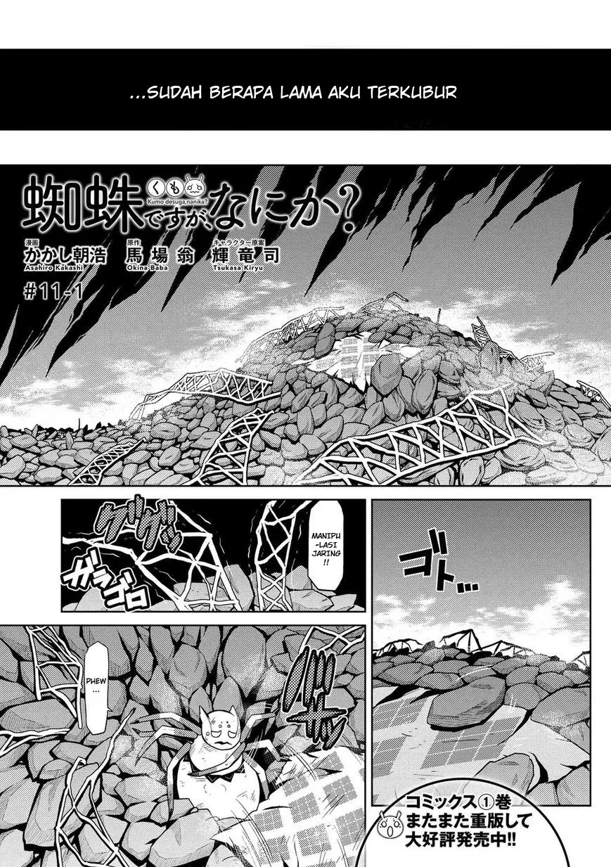 kumo-desu-ga-nani-ka - Chapter: 11.1