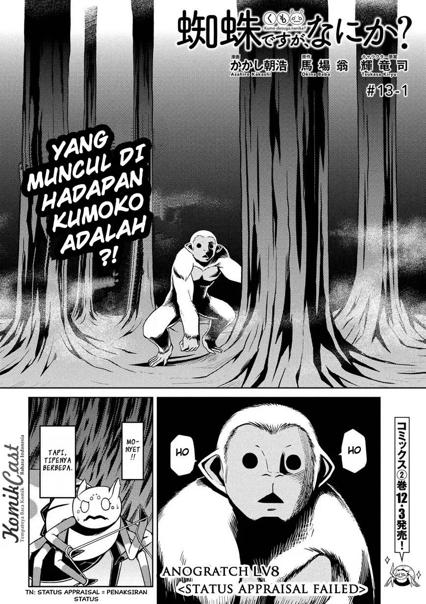 kumo-desu-ga-nani-ka - Chapter: 13.1