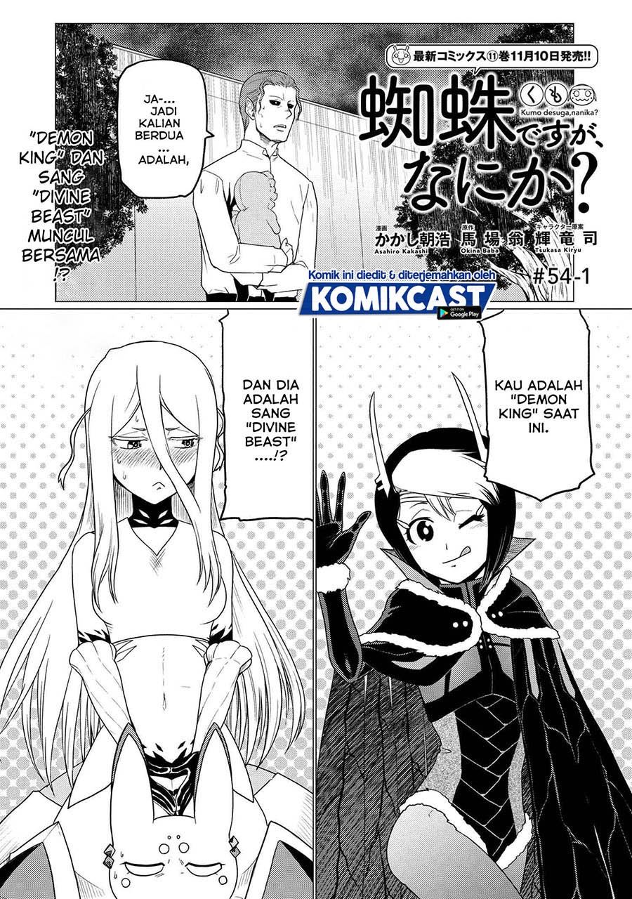 kumo-desu-ga-nani-ka - Chapter: 54.1