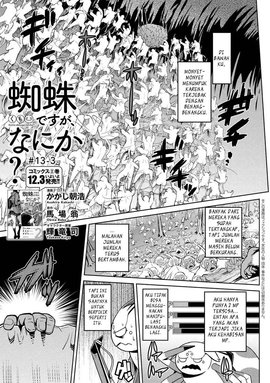 kumo-desu-ga-nani-ka - Chapter: 13.3