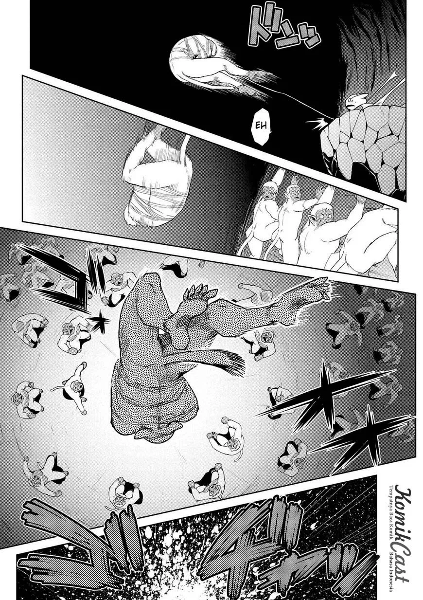 kumo-desu-ga-nani-ka - Chapter: 13.3