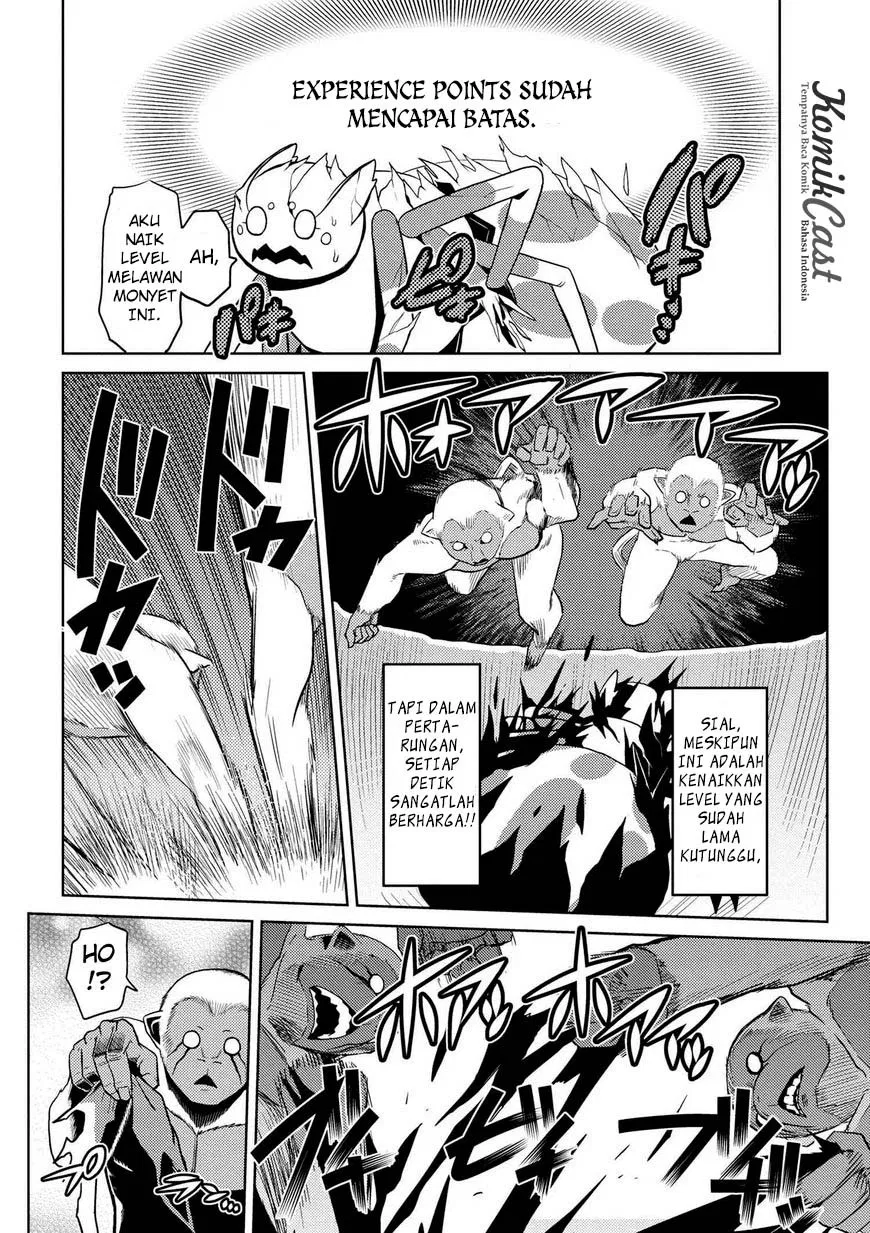 kumo-desu-ga-nani-ka - Chapter: 13.3
