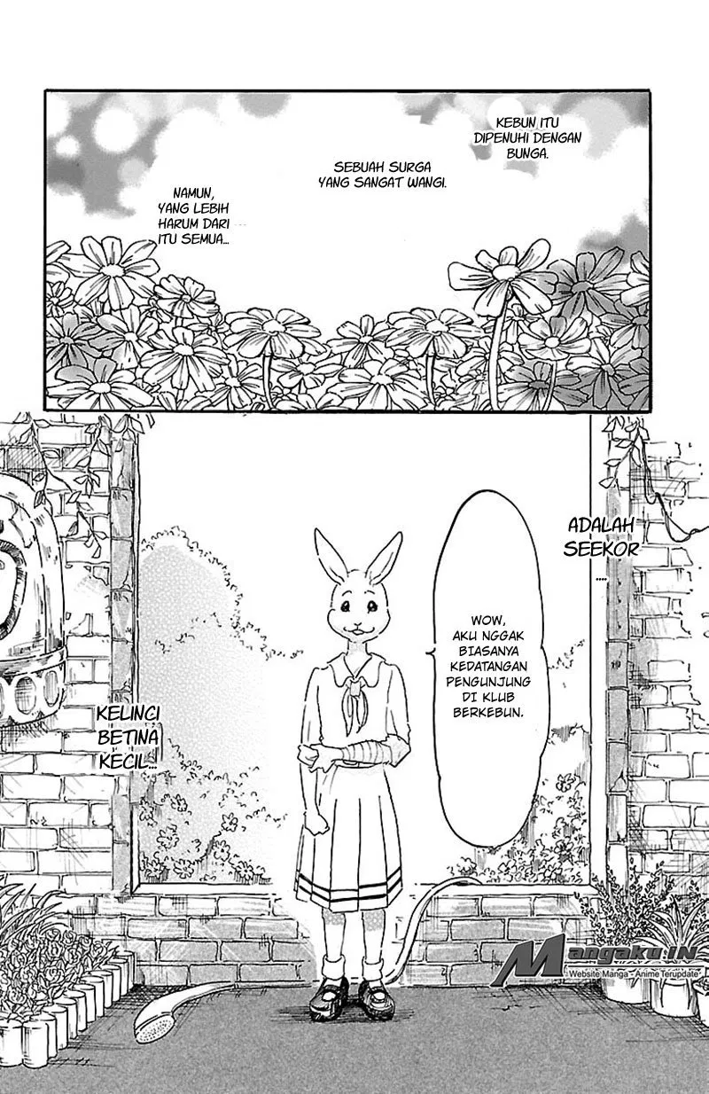 beastars - Chapter: 8