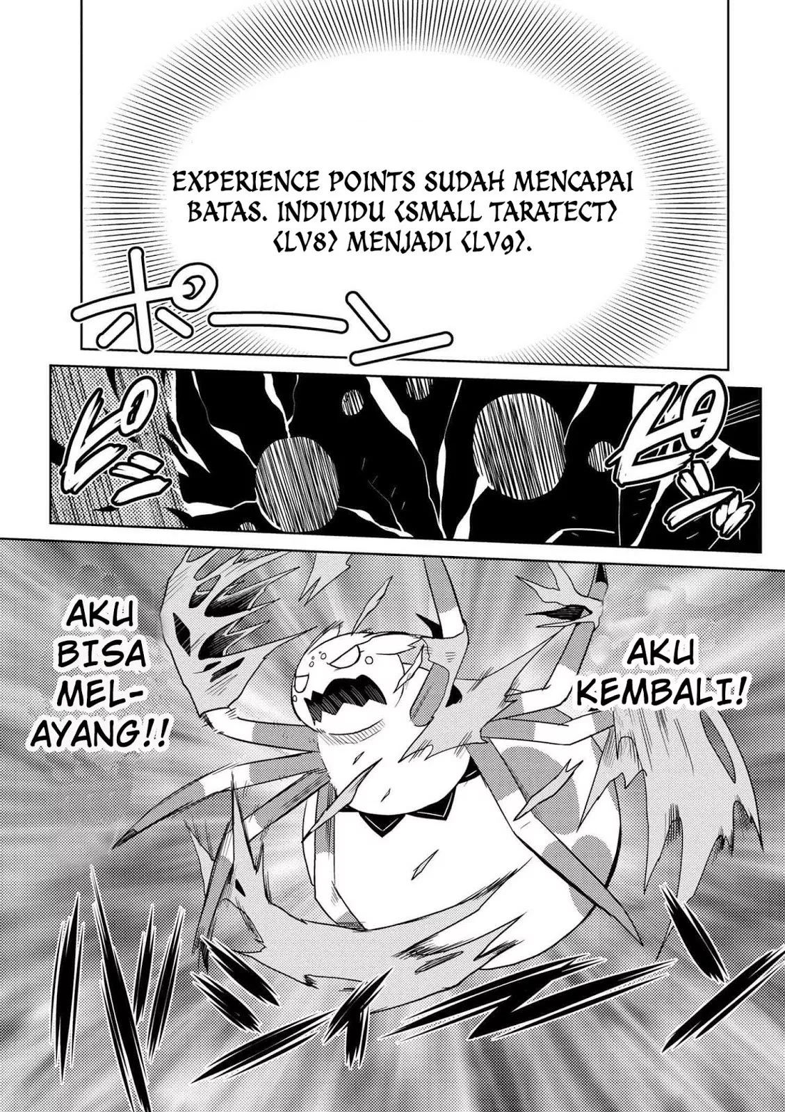 kumo-desu-ga-nani-ka - Chapter: 14.3