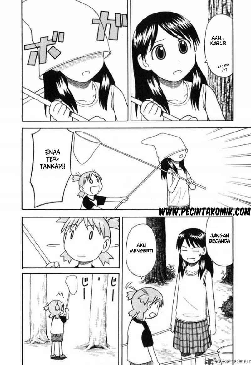 yotsuba-to - Chapter: 6