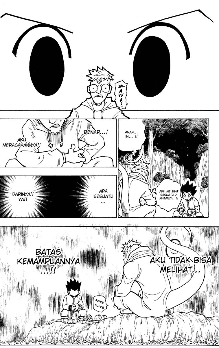 hunter-x-hunter - Chapter: 242
