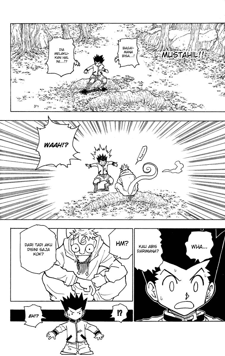 hunter-x-hunter - Chapter: 242