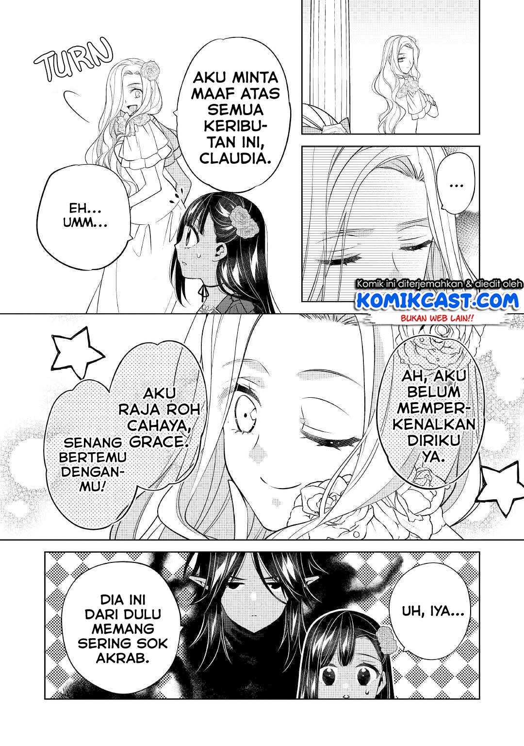 watashi-wa-akuyaku-reijou-nanka-janai-yami-tsukaidakaratte-kanarazushimo-akuyakuda-to-omou-na-yo - Chapter: 12