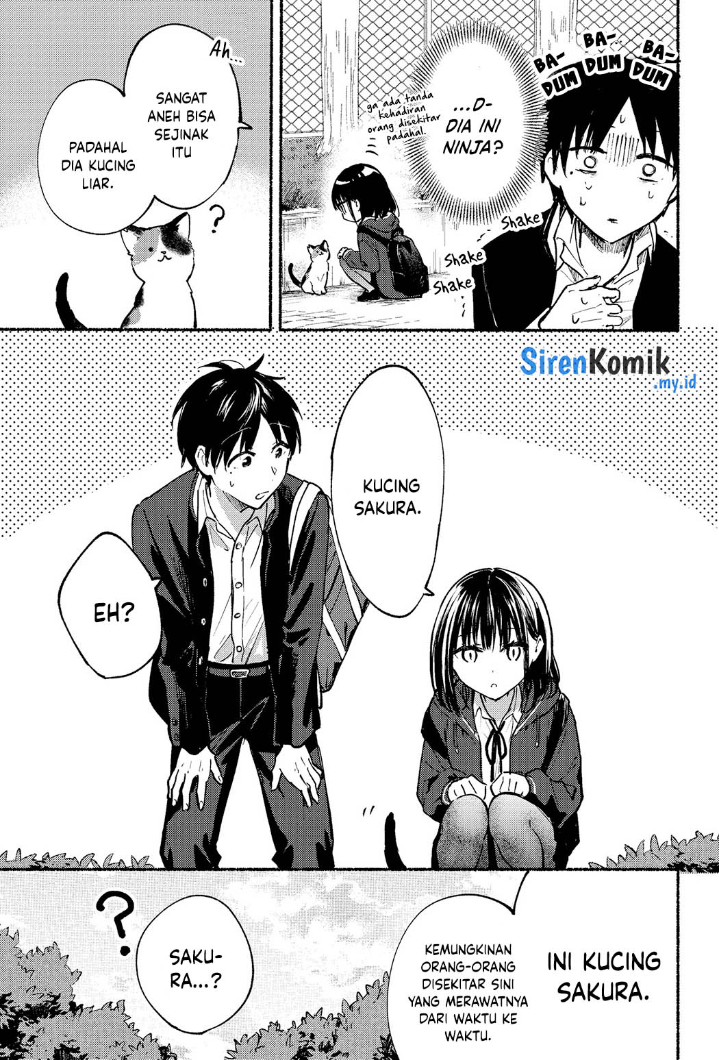 tonari-no-neko-to-koi-shirazu - Chapter: 2