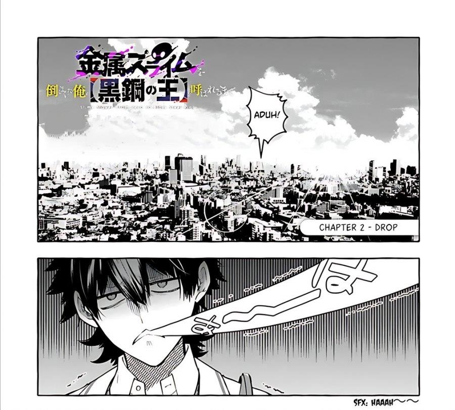 kinzoku-slime-wo-taoshi-makutta-ore-ga-kurokou-no-ou-to-yobareru-made - Chapter: 2