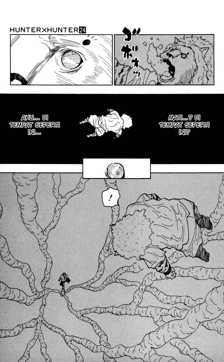 hunter-x-hunter - Chapter: 254