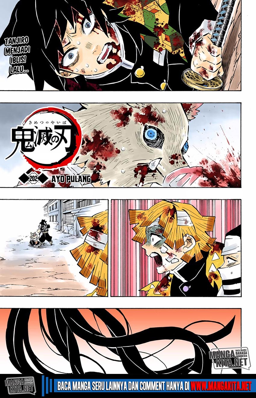 kimetsu-no-yaiba - Chapter: 202.5